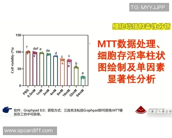 近五场选秀表现数据分析与技术统计全览